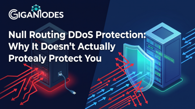 null routing DDoS protection